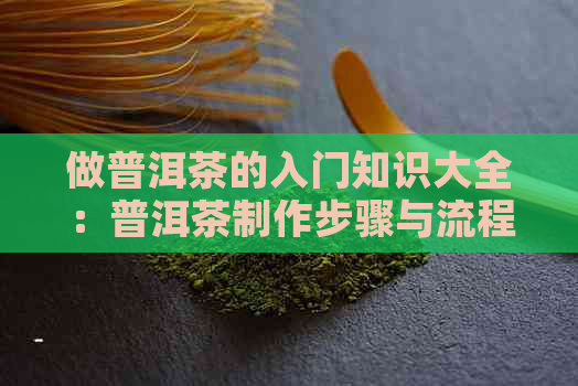 做普洱茶的入门知识大全：普洱茶制作步骤与流程详解