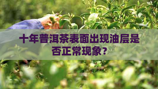 十年普洱茶表面出现油层是否正常现象？