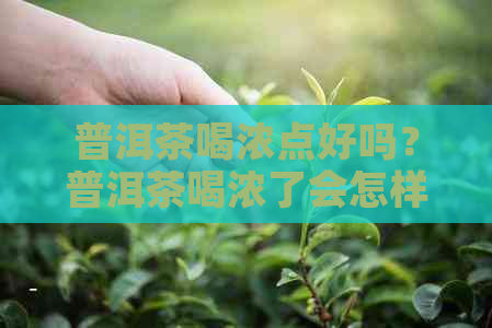 普洱茶喝浓点好吗？普洱茶喝浓了会怎样？普洱茶喝浓的好还是淡的好？