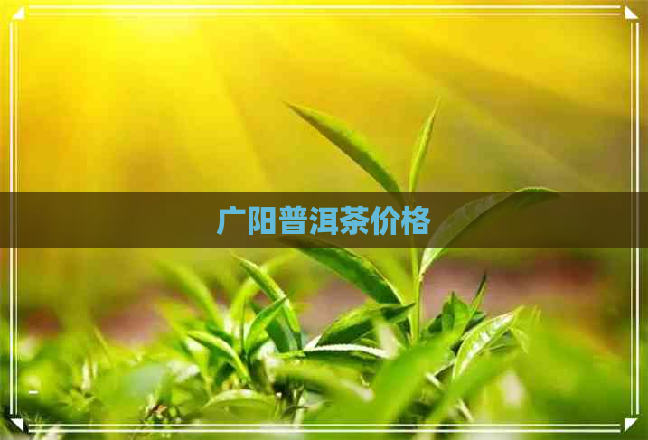 广阳普洱茶价格