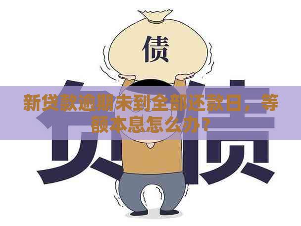 新贷款逾期未到全部还款日，等额本息怎么办？