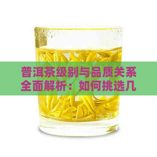 普洱茶级别与品质关系全面解析：如何挑选几级茶青？