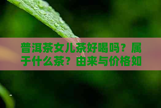 普洱茶女儿茶好喝吗？属于什么茶？由来与价格如何？