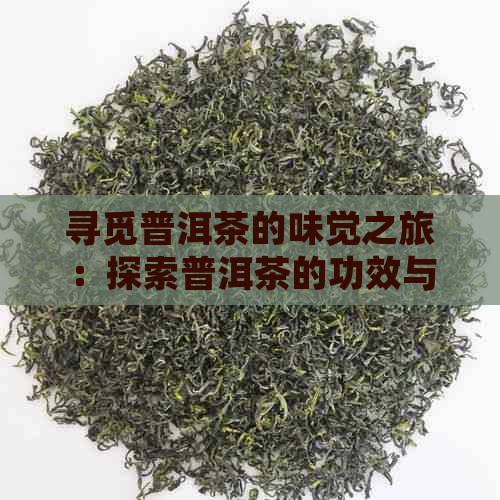 寻觅普洱茶的味觉之旅：探索普洱茶的功效与源头