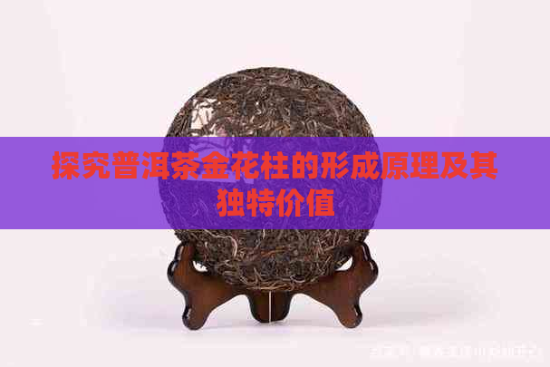 探究普洱茶金花柱的形成原理及其独特价值