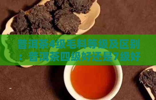 普洱茶4级毛料等级及区别：普洱茶四级好还是7级好？