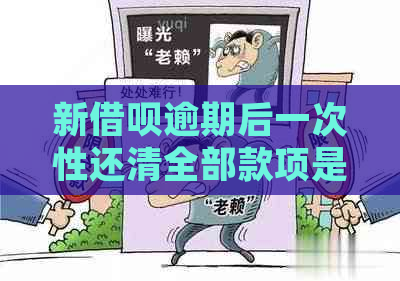 新借呗逾期后一次性还清全部款项是否可行？需要了解哪些还款细节？