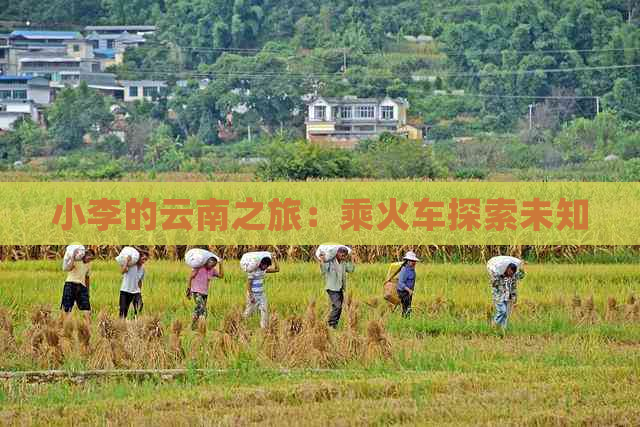 小李的云南之旅：乘火车探索未知