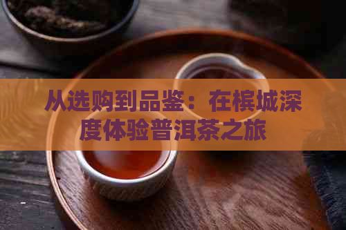 从选购到品鉴：在槟城深度体验普洱茶之旅