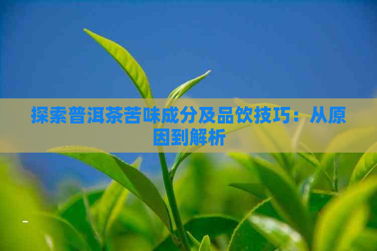 探索普洱茶苦味成分及品饮技巧：从原因到解析