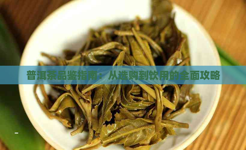 普洱茶品鉴指南：从选购到饮用的全面攻略