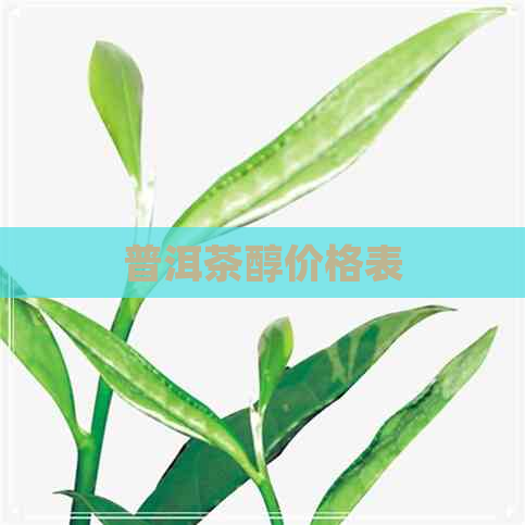 普洱茶醇价格表