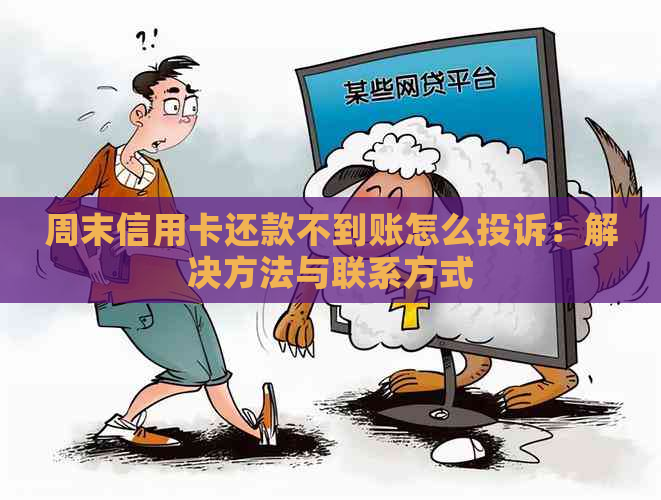 周末信用卡还款不到账怎么投诉：解决方法与联系方式