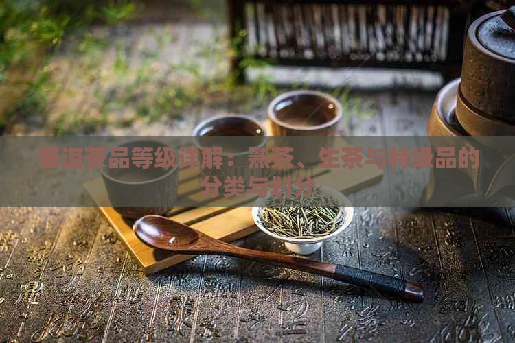 普洱茶品等级详解：熟茶、生茶与特级品的分类与划分