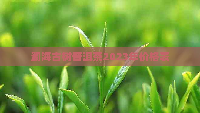 澜海古树普洱茶2023年价格表