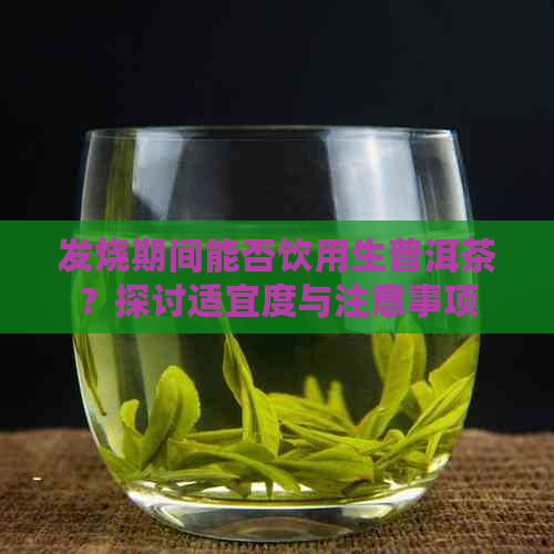 发烧期间能否饮用生普洱茶？探讨适宜度与注意事项