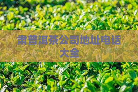 肃普洱茶公司地址电话大全