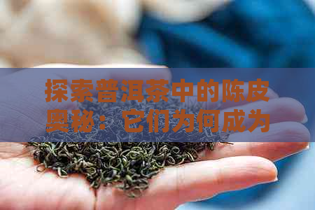 探索普洱茶中的陈皮奥秘：它们为何成为独特风味的关键？