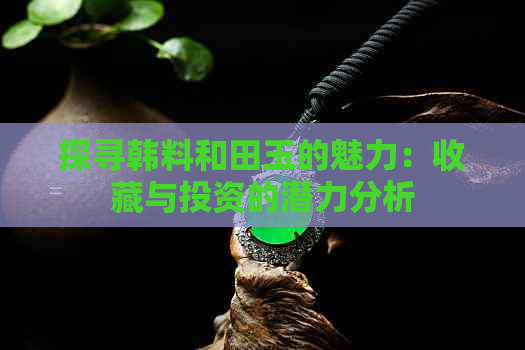 探寻韩料和田玉的魅力：收藏与投资的潜力分析