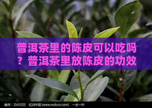 普洱茶里的陈皮可以吃吗？普洱茶里放陈皮的功效与安全性如何？