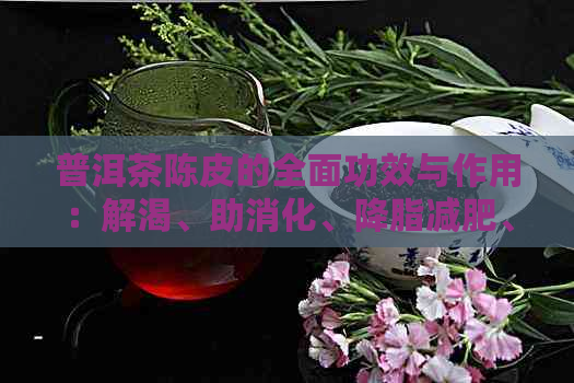 普洱茶陈皮的全面功效与作用：解渴、助消化、降脂减肥、清肺化痰等