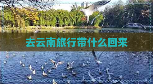 去云南旅行带什么回来