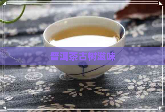 普洱茶古树滋味