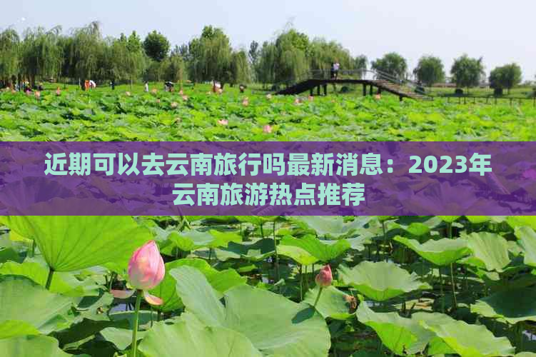 近期可以去云南旅行吗最新消息：2023年云南旅游热点推荐