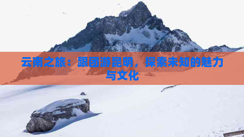 云南之旅：跟团游昆明，探索未知的魅力与文化