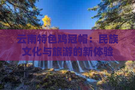 云南特色鸡冠帽：民族文化与旅游的新体验