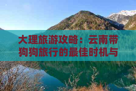 大理旅游攻略：云南带狗狗旅行的更佳时机与注意事项