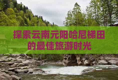 探索云南元阳哈尼梯田的更佳旅游时光