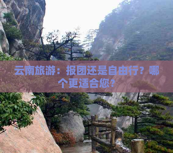 云南旅游：报团还是自由行？哪个更适合您？