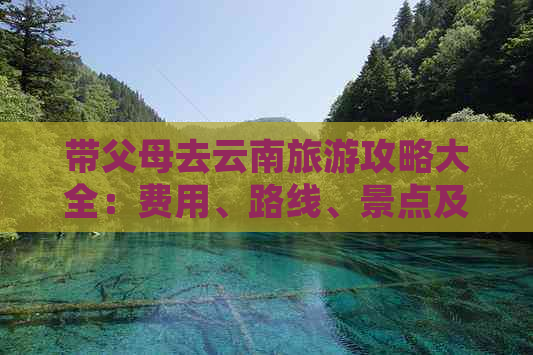 带父母去云南旅游攻略大全：费用、路线、景点及注意事项