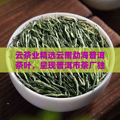 云茶业精选云南勐海普洱茶叶，呈现普洱市茶厂独特风味