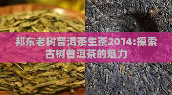 邦东老树普洱茶生茶2014:探索古树普洱茶的魅力