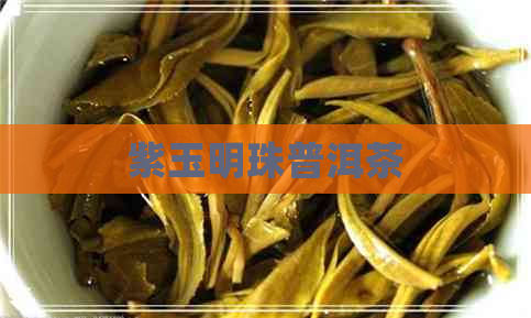 紫玉明珠普洱茶