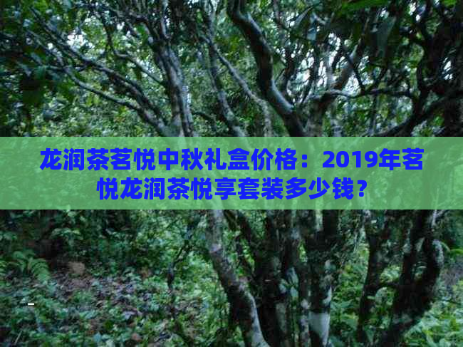 龙润茶茗悦中秋礼盒价格：2019年茗悦龙润茶悦享套装多少钱？