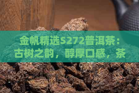 金帆精选S272普洱茶：古树之韵，醇厚口感，茶艺鉴佳品