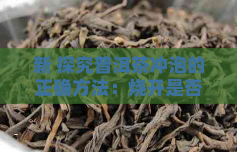 新 探究普洱茶冲泡的正确方法：烧开是否必要？