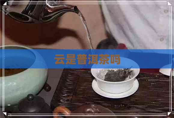 云是普洱茶吗