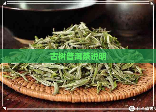 古树普洱茶说明