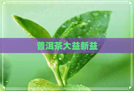 普洱茶大益新益