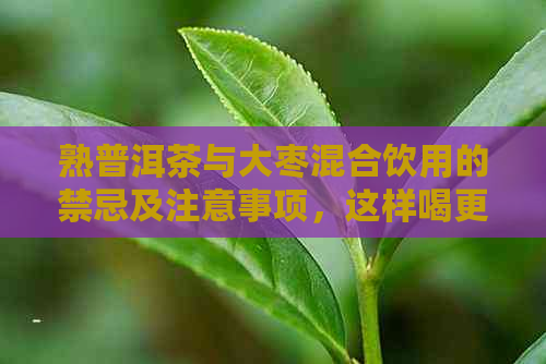 熟普洱茶与大枣混合饮用的禁忌及注意事项，这样喝更健！