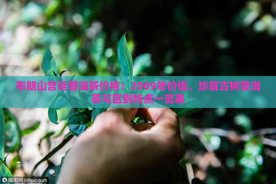 布朗山宫廷普洱茶价格：2009年价值、珍藏古树普洱茶与区别特点一览表