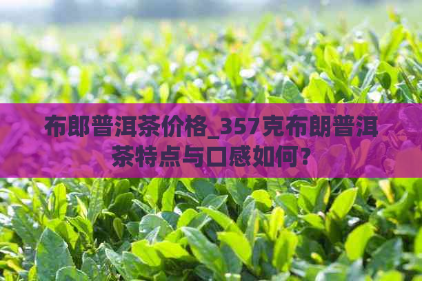 布郎普洱茶价格_357克布朗普洱茶特点与口感如何？