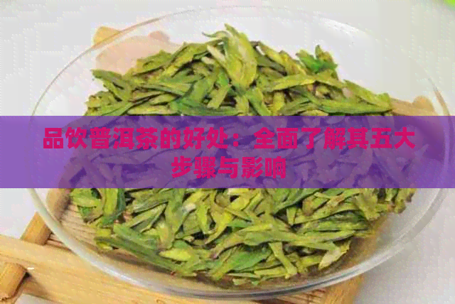 品饮普洱茶的好处：全面了解其五大步骤与影响