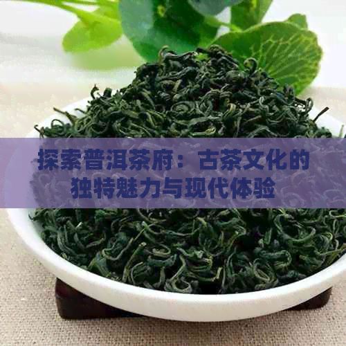 探索普洱茶府：古茶文化的独特魅力与现代体验