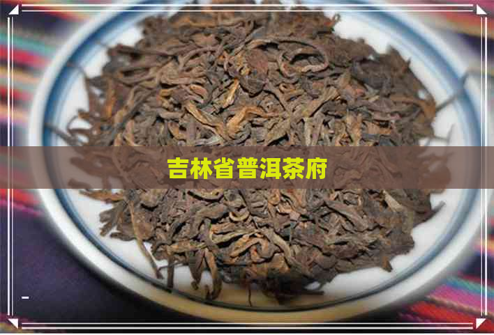 吉林省普洱茶府