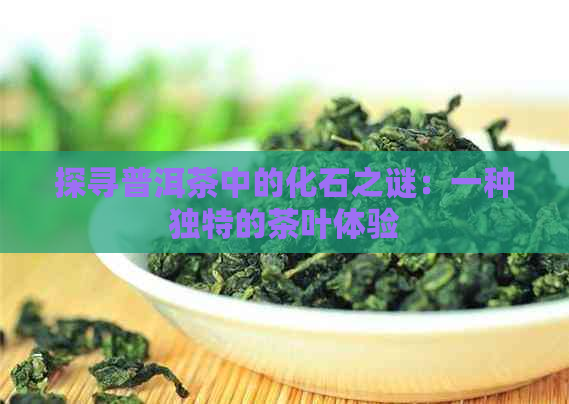 探寻普洱茶中的化石之谜：一种独特的茶叶体验